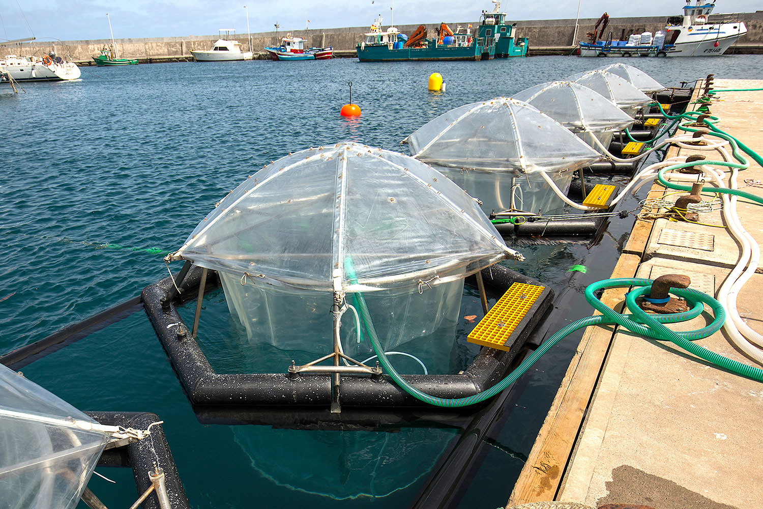 Die Mesokosmen werden für das Experiment des EU-Projekts Ocean-based Negative Emission Technologies (OceanNETs) auf Gran Canaria vorbereitet. Foto: Michael Sswat, GEOMAR